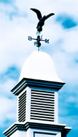 Plantation Cupola #16